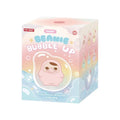 pop-mart-pucky-beanie-bubble-up-series-blind-box